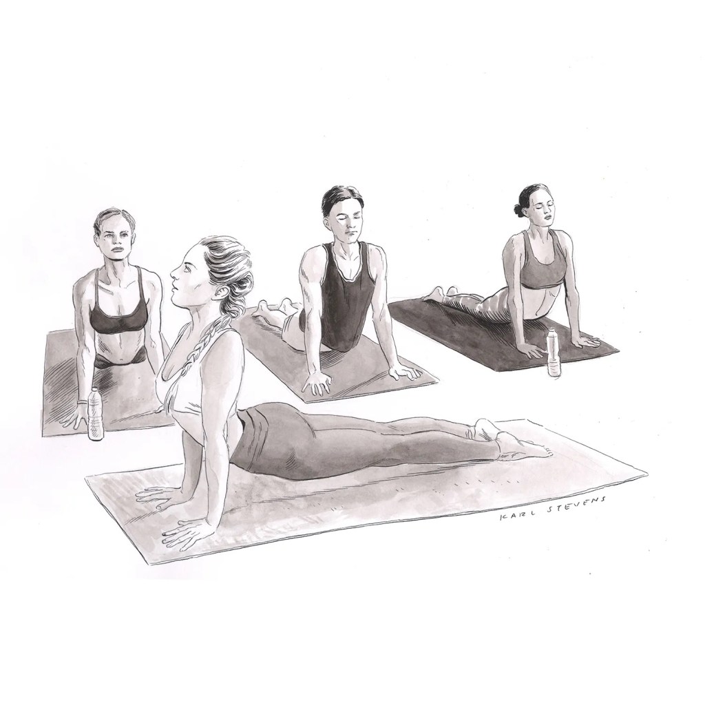 ASPCA & Yoga